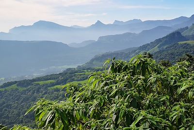 Horton Plains - Sri Lanka