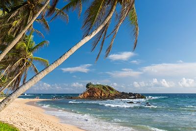 Plage de Mirissa - Matara - Sri Lanka