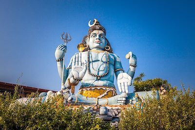 Temple de Koneswaram - Trinquemalay - Sri Lanka