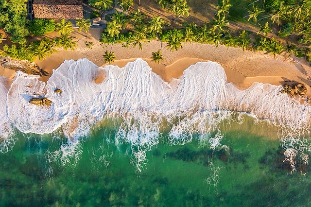 Voyage Bouddhas et éléphants du Sri Lanka