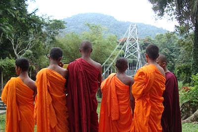 Peradeniya - Sri Lanka