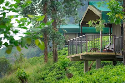 Madulkelle Tea & Eco Lodge - Madulkelle - Sri Lanka