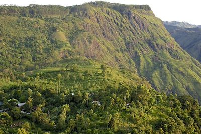 Amba Estate Farmstay - Ella - Sri Lanka