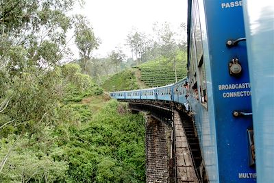 De Bandarawela à Idalgashinna - Sri Lanka