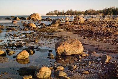 Parc national de Lahemaa - Estonie