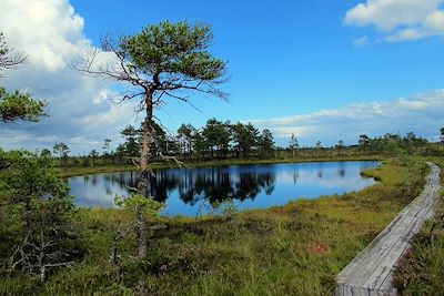 Soomaa - Estonie - Pays Baltes