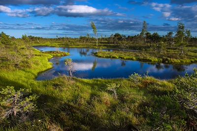 Parc National de Kemeri - Lettonie