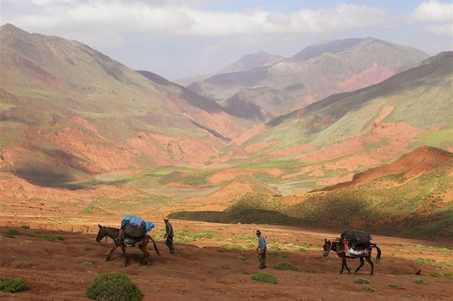 Voyage Les montagnes rouges de la Tessaout