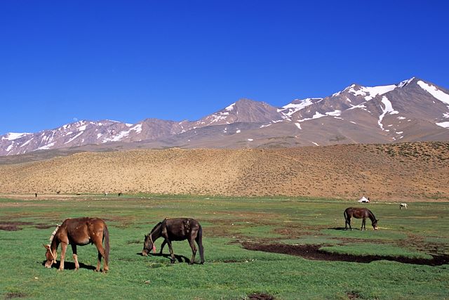 Voyage Toubkal et M'Goun, les deux sommets