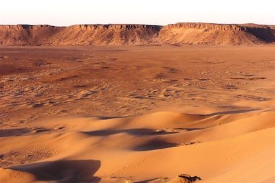 Dunes de la vallée du Drâa - Maroc