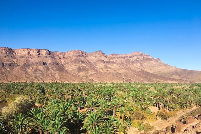 Voyage Dunes de Tazzarine et kasbah du Drâa