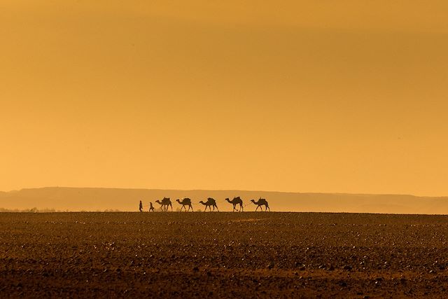 Voyage Merzouga et la vallée du Dadès