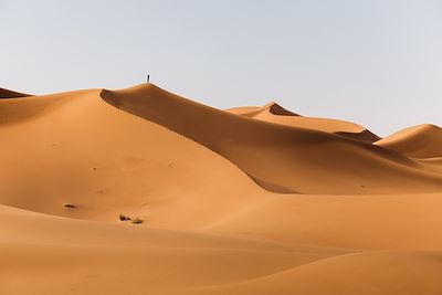 l'Erg Chegaga - Sahara - Maroc