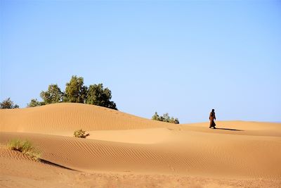 Dans la vallée du Draa - Maroc