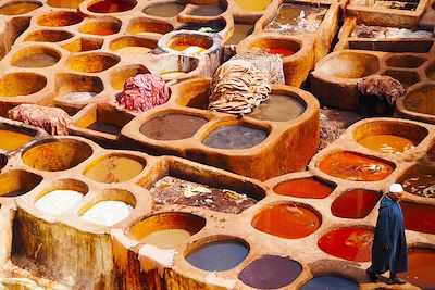 Tannerie colorée à Fès Chouara -Maroc