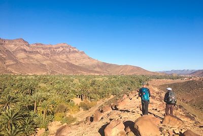 Palmeraie - Timidarte - Vallée du Draa - Maroc