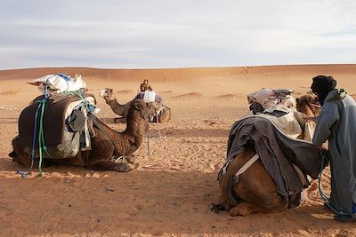 Equipe chamelière - Désert du Maroc