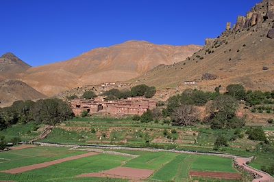 Tessaout - Haut Atlas - Maroc