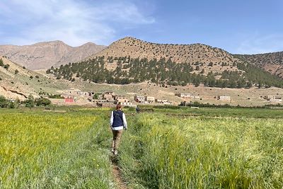 Sentier au milieu des cultures de la vallée des Bougmez - Maroc