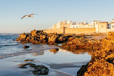 Randonnée Côte Atlantique Marocaine