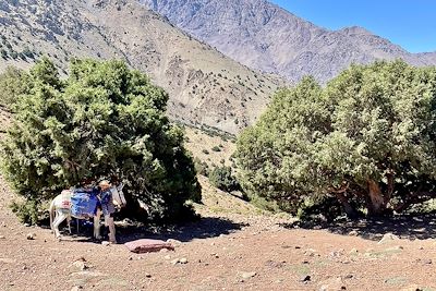 Vallée du Toubkal - Col de Tizi Mzik - Maroc