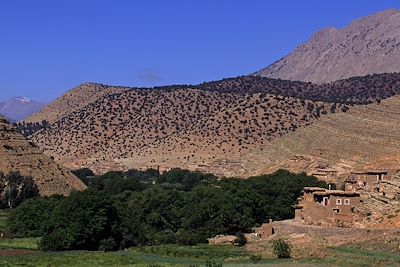 Aït Bougmez - Haut Atlas central - Maroc