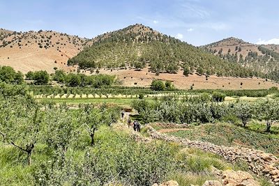 Vallée des Ait Bougmez - Maroc