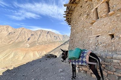 Grenier fortifié de Sidi Moussa - Vallée des Ait Bougmez - Maroc