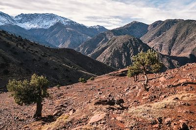 Tizi Oussem - Haut-Atlas - Maroc