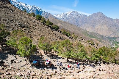 Randonnée muletière dans la vallée d'Imlil - Haut-Atlas - Maroc