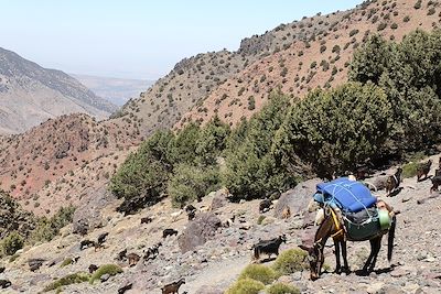 Montagnes de l'Atlas du côté d'Imlil - Maroc