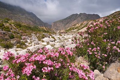 Parc national Talassemtane - Maroc