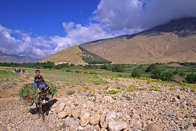 Vallée des Aït Bougmez - Haut Atlas - Maroc