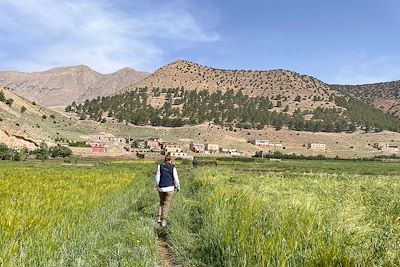 Sentier au milieu des cultures de la vallée des Bougmez - Maroc