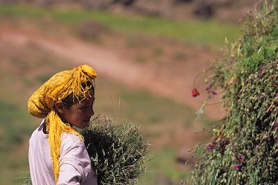 Parc national de Toubkal - Maroc