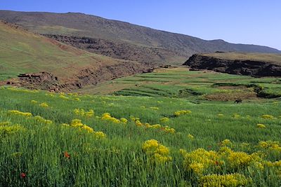 Parc national de Toubkal - Maroc