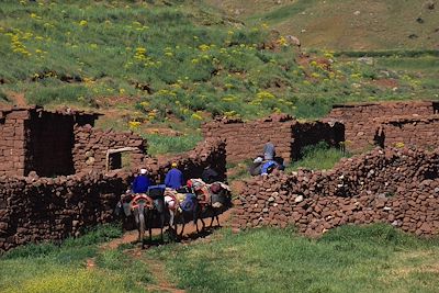 Parc national de Toubkal - Haut Atlas - Maroc