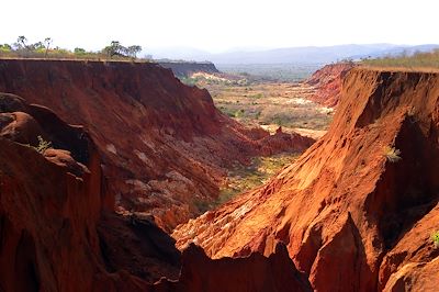 Tsingy - Madagascar 