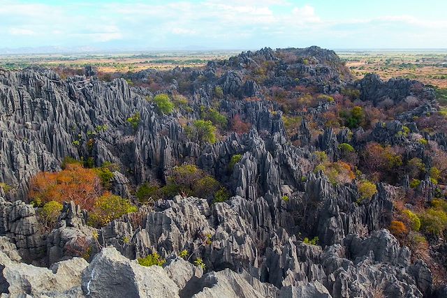 Voyage Grande aventure au pays des lémuriens