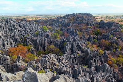 Paysage karstique - Réserve spéciale d'Ankarana - Madagascar