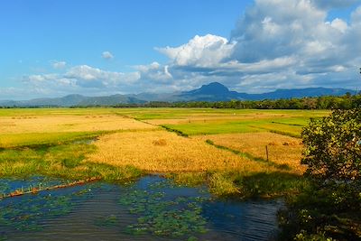 Terres agricoles - Madagascar