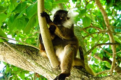 Nosy Tanikely - Madagascar