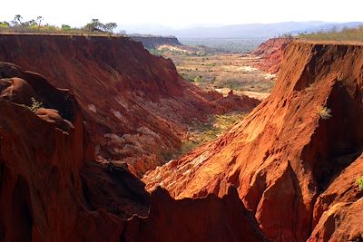 Tsingy - Madagascar 