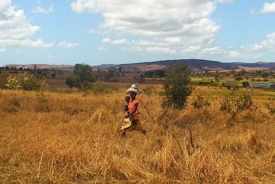 Aire protégée d'Andrafiamena - Madagascar