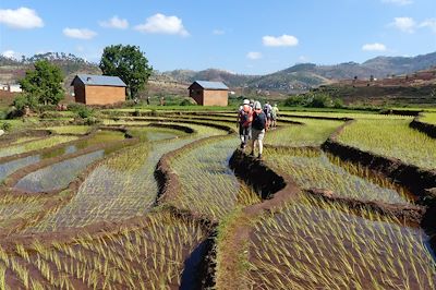 Des hautes terres à Tuléar, Madagascar autrement