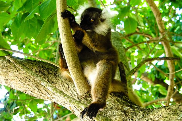 Voyage Randonnée nord malgache, tsingys et océan Indien