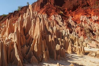 Iharana bush camp - Madagascar