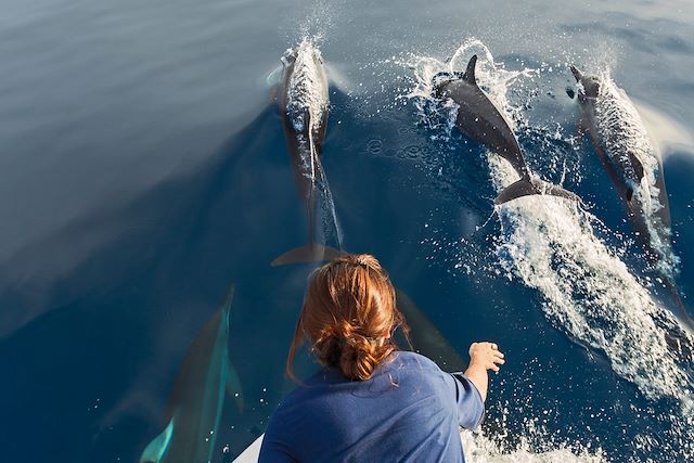 Voyage Maldives, d'île en île