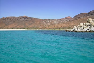 Isla espiritu Santo - Basse Californie - Mexique