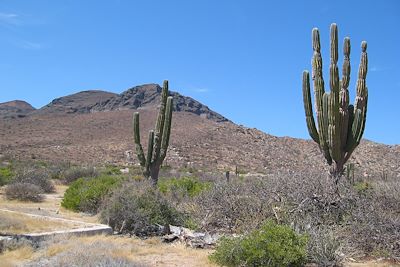 Isla Espiritu Santo - Basse Californie - Mexique